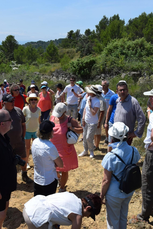 Massmamier La Mignarde: Wine Tasting - Highlights