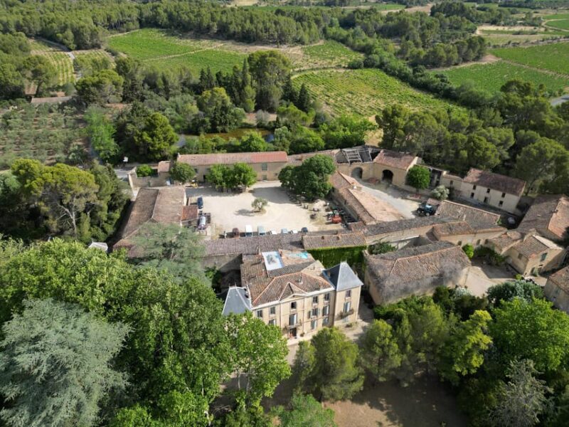 Massmamier La Mignarde: Wine Tasting - Cost and Purchases