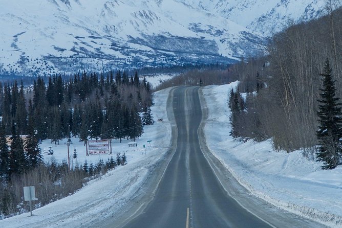 Matanuska Glacier Wildlife & Wilderness Photo Tour From Anchorage - Traveler Testimonials and Feedback