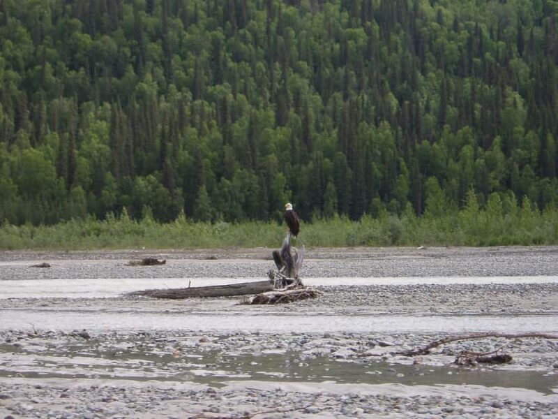 Matanuska River Scenic Float - The Sum Up: A Calm, Beautiful Way to Experience Alaska