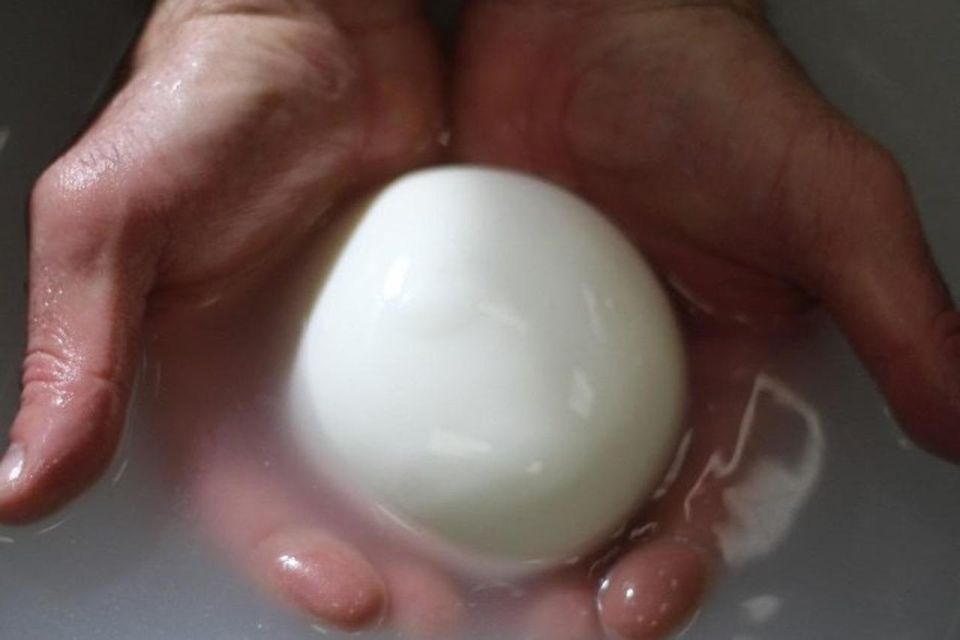 Matera Cheese Making Class: Be a Real Dairy Man for a Day! - Booking Information