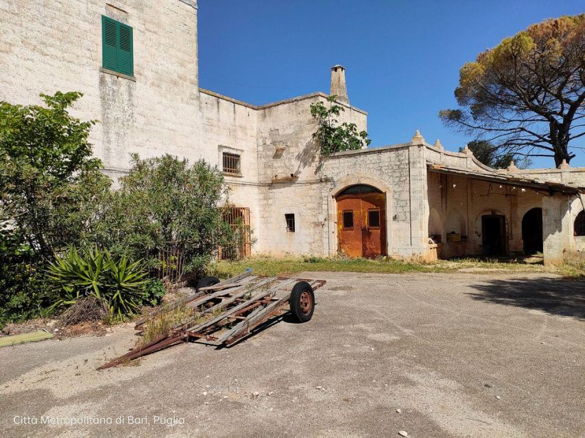 Matera: Ebike Tour to Matera & Tasting of Bread and Extra Virgin Olive Oil - Local Bakery and Food Tasting