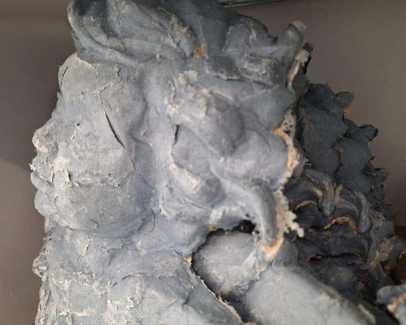 Matera. Paper mache workshop with the artisans of the Bruna float - FAQs