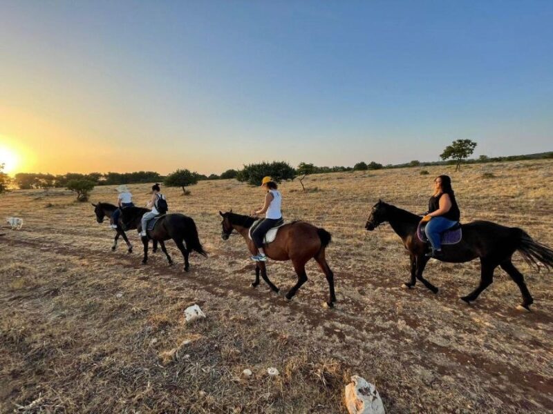 Matera: sunset horseback riding tour on Murgia - What Makes This Horseback Ride Special?
