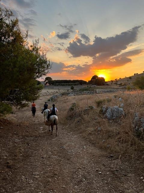 Matera: sunset horseback riding tour on Murgia - The Practical Details