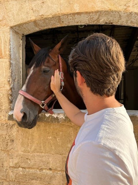 Matera: sunset horseback riding tour on Murgia - Final Thoughts