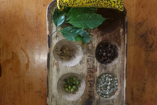 Materuni (Coffee Tour) and Chemka (Kikuletwa Tour) - Tips for Travelers