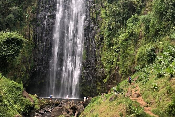 Materuni Waterfall Hike & Coffee Tour - Accessibility and Group Size