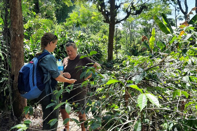 Materuni Waterfalls and Coffee Tour - Highlights of the Tour