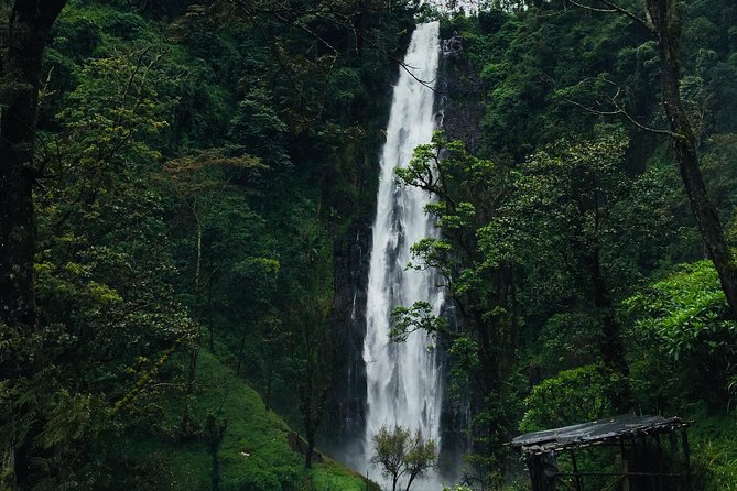 Materuni Waterfalls - Group Tour Experience