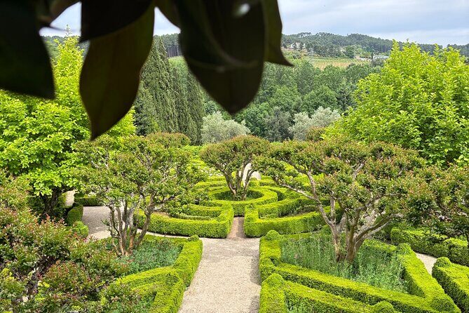 Mateus Palace, History, Art and Douro Wines - A Detailed Look at the Tour Experience