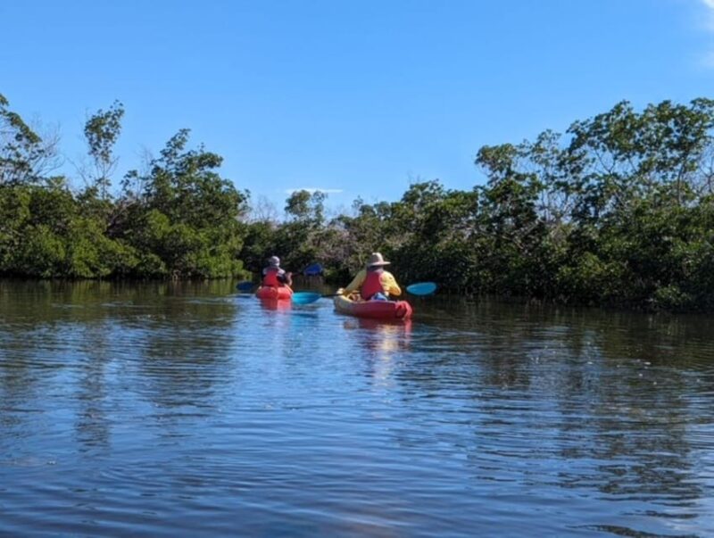 Matlacha: Dolphin & Mangrove Kayak Tour - Key Points
