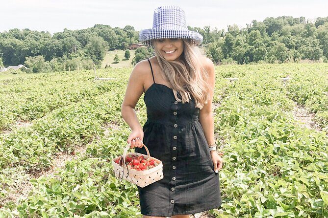 Mattituck Bike Wine Country and Fruit Orchard Tour - Authentic Experiences and Real Feedback