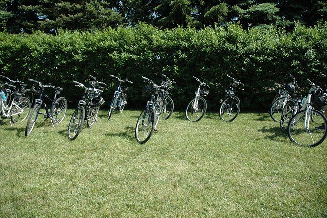 Mattituck Bike Wine Country and Fruit Orchard Tour - Final Thoughts