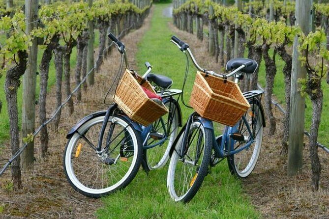 Mattituck New York Guided Farm and Wine Country Bike Tour - Key Points
