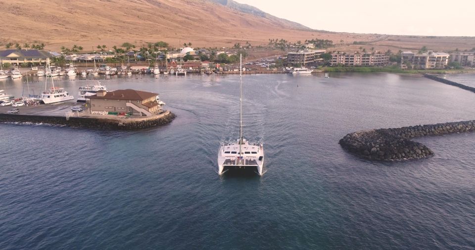 Maui: Alii Nui Whale Watch & Catamaran Sail - Experience Highlights