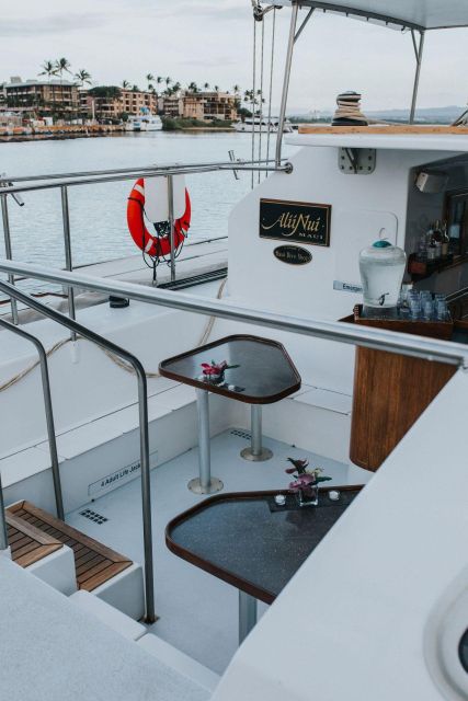 Maui: Alii Nui Whale Watch & Catamaran Sail - Making the Most of Your Whale Watch