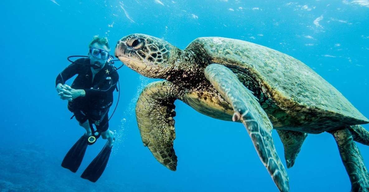 Maui: Beginner Discovery Scuba Dive Excursion From Lahaina - Required Equipment and Inclusions