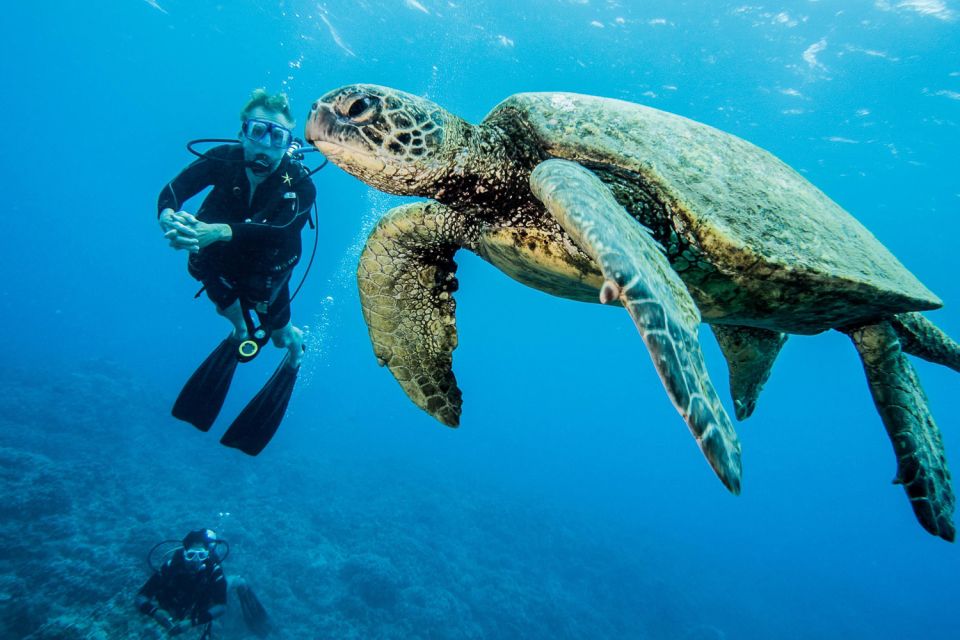 Maui: Beginner Discovery Scuba Dive Excursion From Lahaina - Diver Fitness and Health Requirements