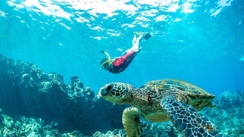Maui: Cruise With Snorkeling and Barbecue Lunch - Key Points