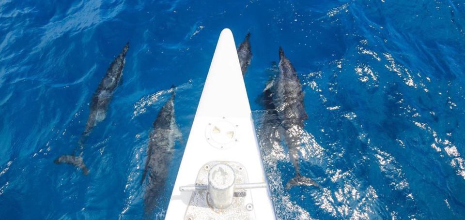 Maui: Cruise With Snorkeling and Barbecue Lunch - Dining Options