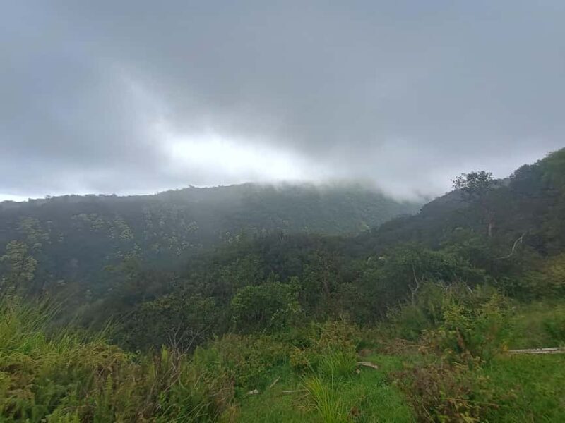 Maui: East Side Hiking Tour - An In-Depth Look at the Maui East Side Hiking Experience