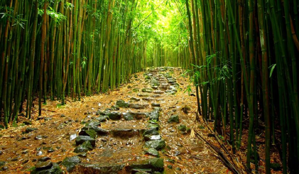 Maui: Full Day Hiking Tour With Lunch - Hana Highway Exploration