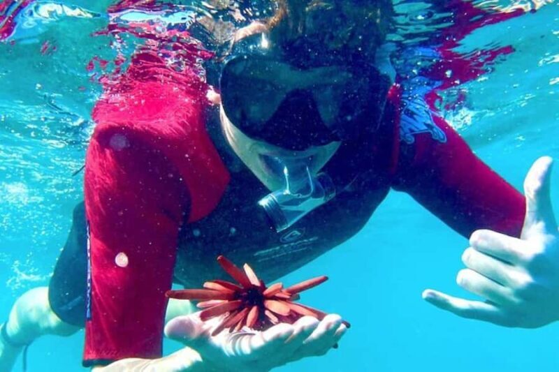 Maui: Guided Snorkeling for Beginners with Flotation Wetsuit - Who Should Consider This Tour?