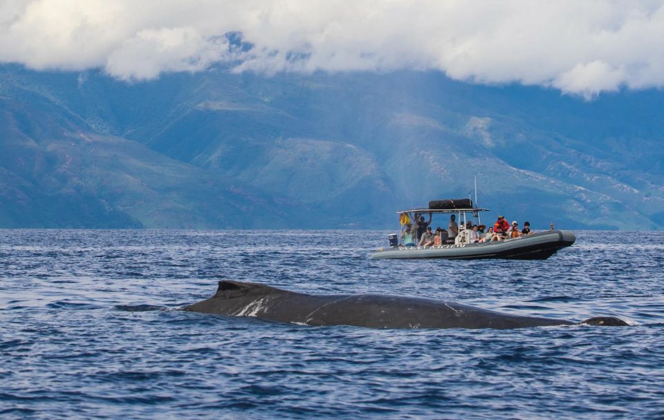 Maui: Guided Whale Watching Tour on Eco Raft - Inclusions