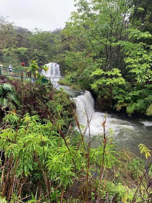 Maui: Haleakal National Park and Upcountry Sunset Tour - An Overview of the Tour Experience