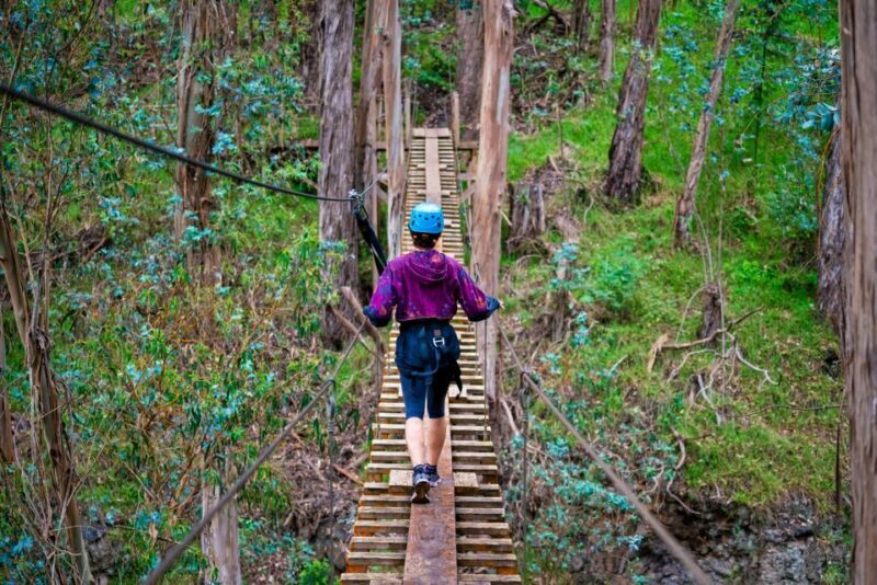 Maui: Haleakala 6-Line Zipline Adventure - Value for Money and Practical Details