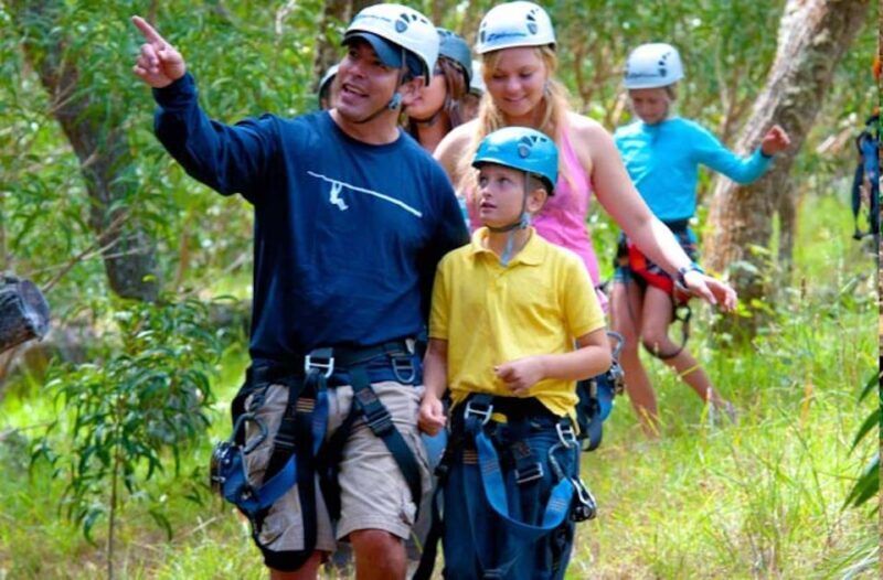 Maui: Haleakala 6-Line Zipline Adventure - What Travelers Say