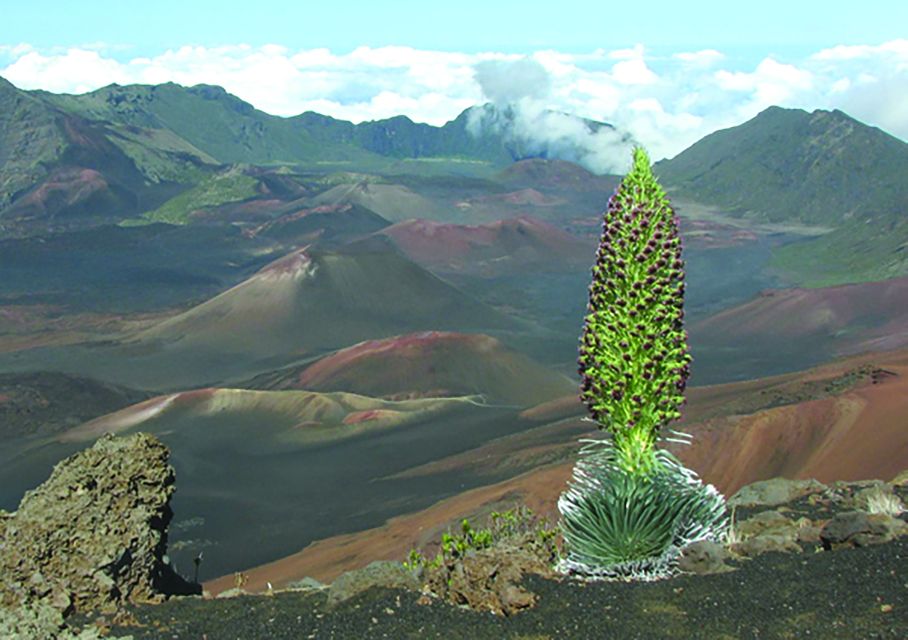 Maui: Haleakala National Park Sunset Tour - Duration and Availability
