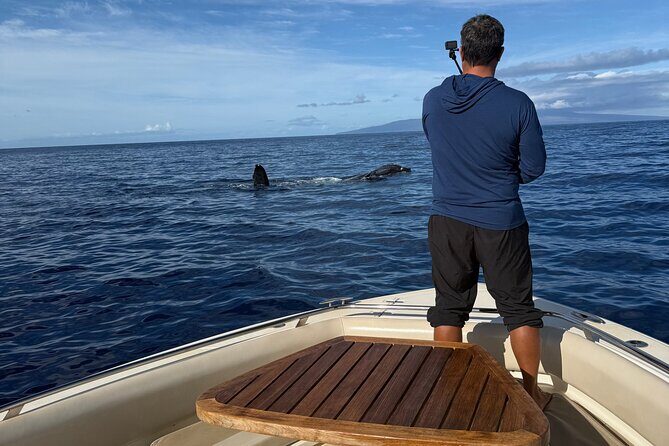 Maui Intimate Luxury Powerboat Private Charter - The Value Proposition