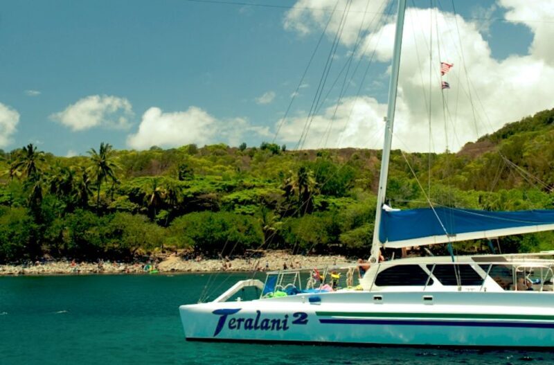 Maui: Kaanapali Beach 4-hour Snorkel w/ BBQ Lunch & Open Bar - Key Points