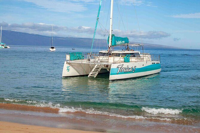 Maui: Kaanapali Beach 5-hour Snorkel w/ BBQ Lunch & Open Bar - Final Thoughts