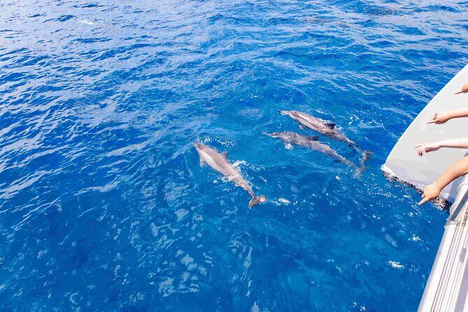 Maui: Kaanapali Beach 5-hour Snorkel w/ BBQ Lunch & Open Bar - FAQ