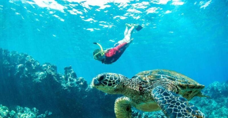 Maui: Kaanapali Beach 5-hr Snorkel w/ BBQ Lunch & Open Bar - An In-Depth Look at the Maui Snorkeling Experience