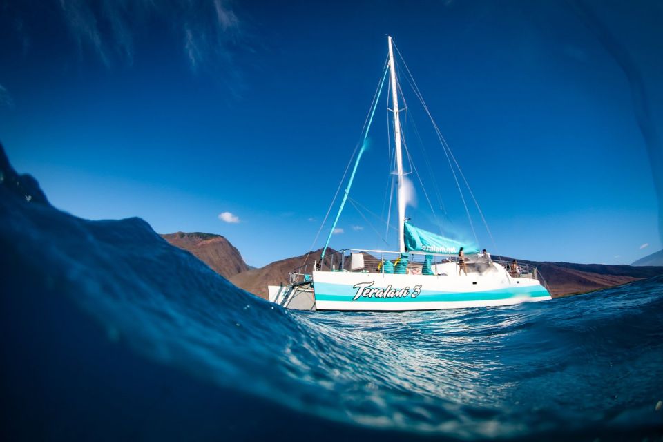 Maui: Kaanapali Wild Dolphin Sail - Highlights of the Sail