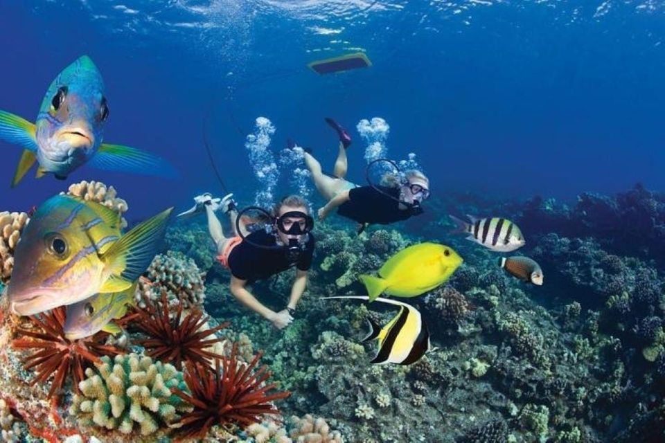 Maui: Koa Kai Molokini Snorkel & Whale Watch - Snorkeling and Flotation Equipment Provided