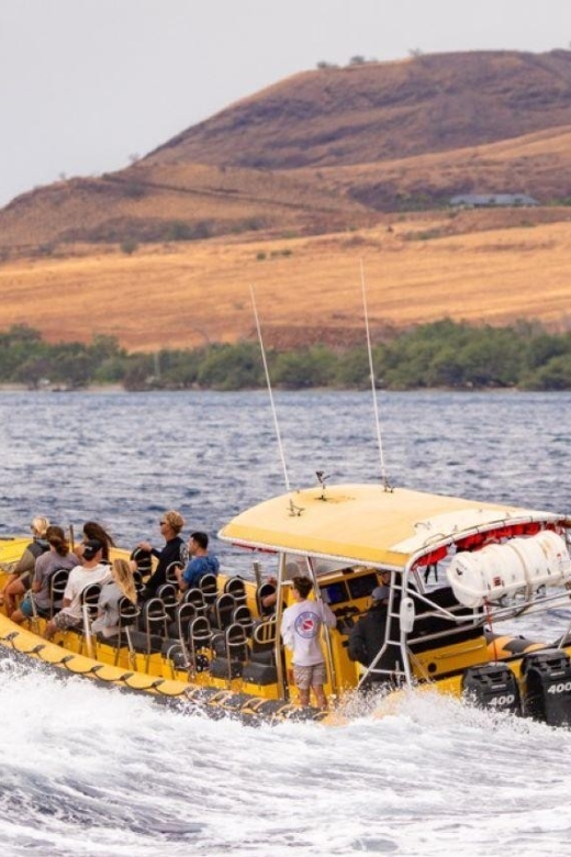Maui: Koa Kai Molokini Snorkel & Whale Watch - Wetsuit Tops for Comfort and Warmth