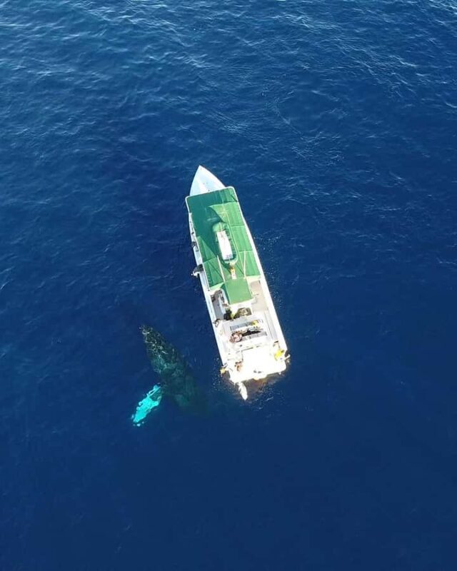 Maui: Lanai Island Snorkeling Tour with Snacks & Drinks - Snacks, Drinks, and Relaxation