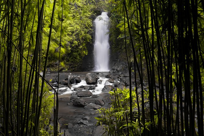 Maui Loop Road To Hana Audio Driving Tour - Customer Ratings and Feedback