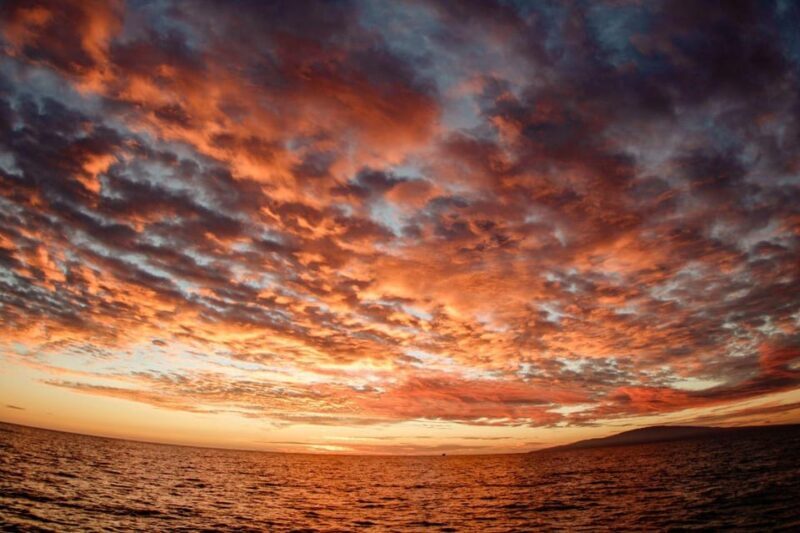 Maui: Luxury Catamaran Royal Sunset 5-Course Dinner Cruise - FAQ