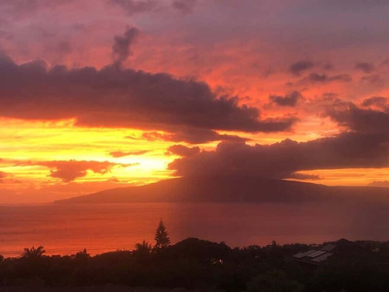 Maui: Mango Farm Sunset Tour with Fruit Tasting and Photos - Key Points