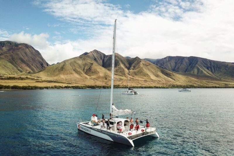 Maui: Midday Sail with the Whales Malaea Harbor - Price and Value