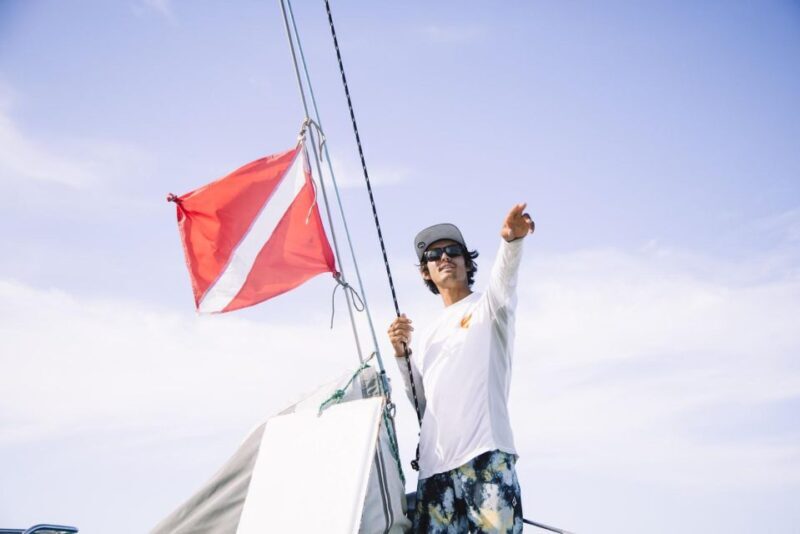 Maui: Midday Sail with the Whales Malaea Harbor - Authenticity and Reviews