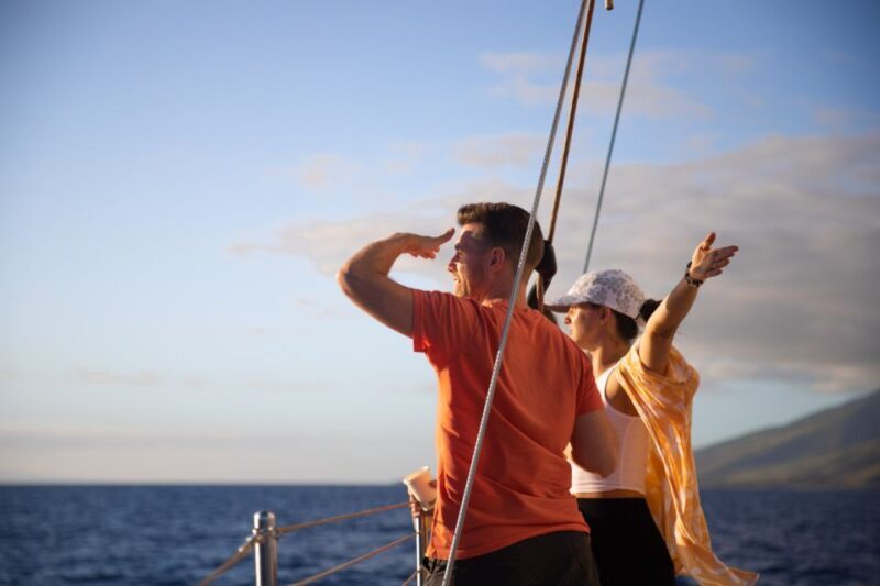 Maui: Morning Sail with the Whales Ma'alaea - Key Points