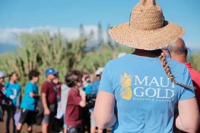 Maui Pineapple Planting Experience - Final Thoughts: Why You Should Consider This Tour