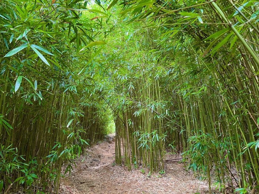 Maui: Private All-Inclusive Road to Hana Tour With Pickup - Knowledgeable and Passionate Guide Services